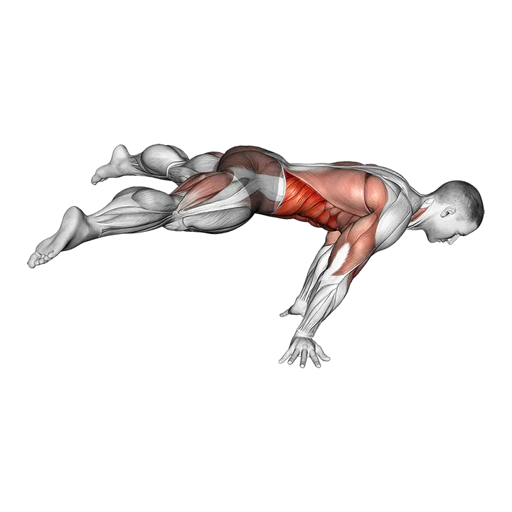 Straddle planche exercise animation (Male)