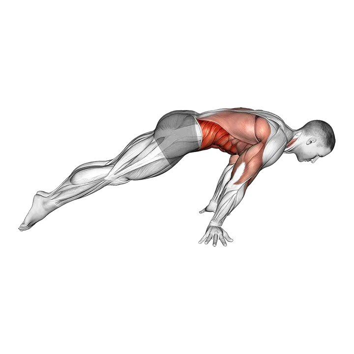 Lean planche exercise animation (Male)