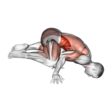 Frog planche