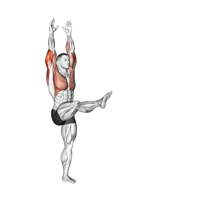 Handstand exercise animation (Male)
