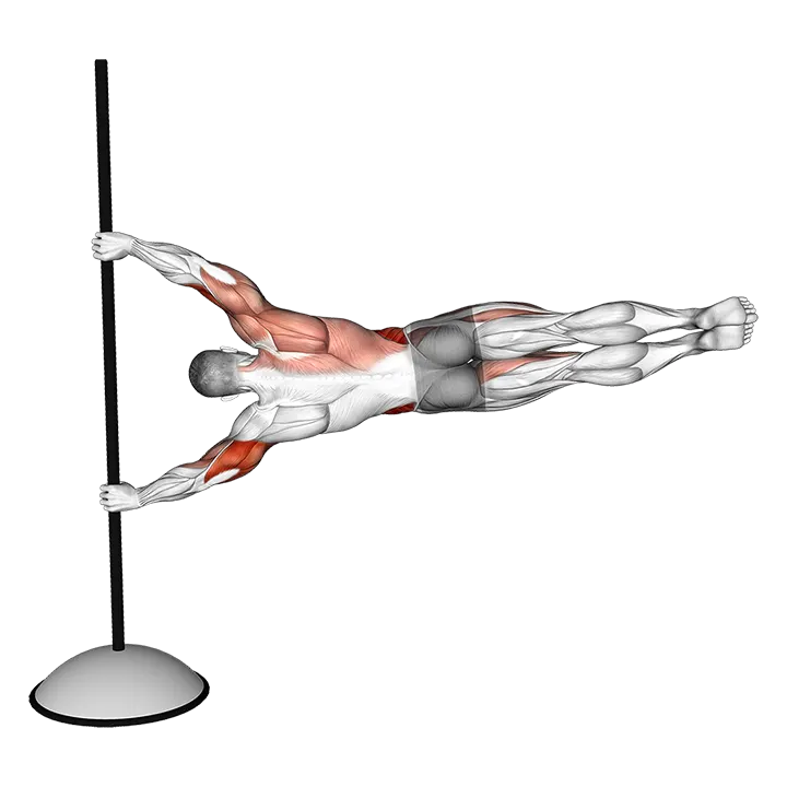 Flag exercise animation (Male)
