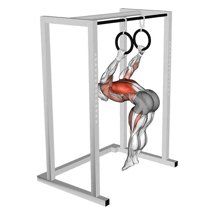 Skin the cat exercise animation (Male)