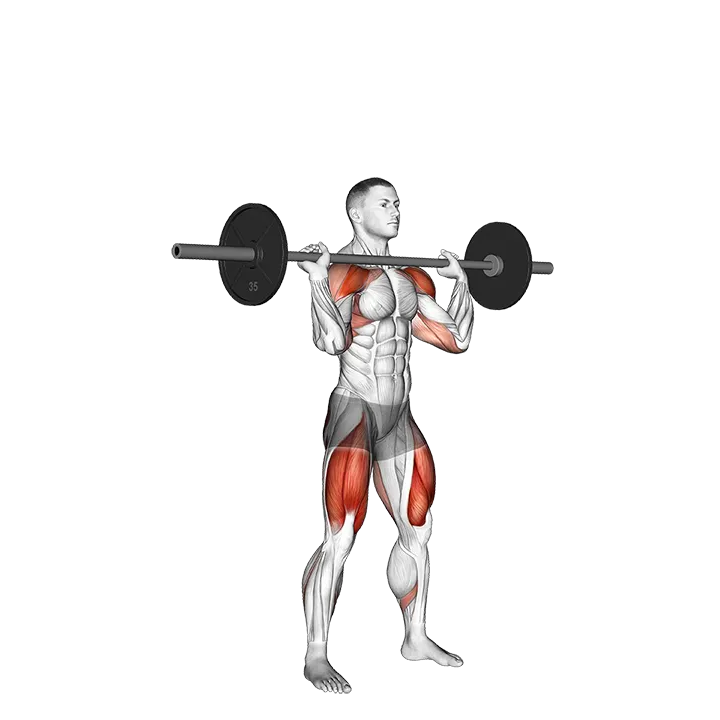Barbell Thruster exercise animation (Male)