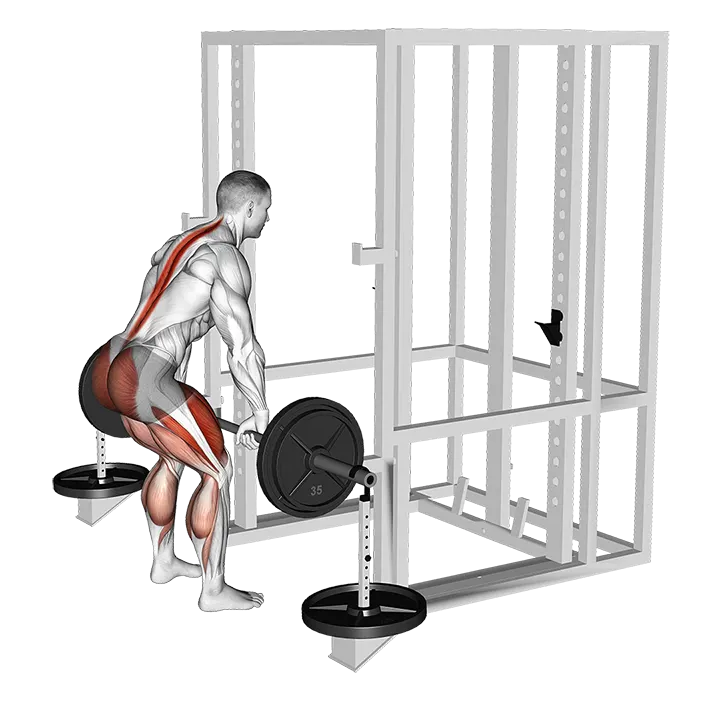 Barbell Weighted Deadlift exercise animation (Male)