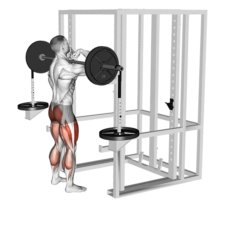 Barbell Weighted Front Chest Squat exercise animation (Male)