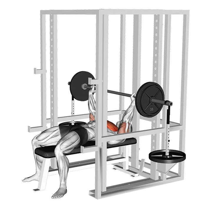 Barbell Weighted Bench Press exercise animation (Male)