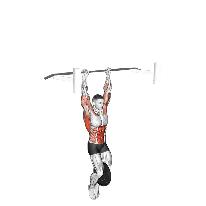 Weighted Muscle up (on bar) exercise animation (Male)