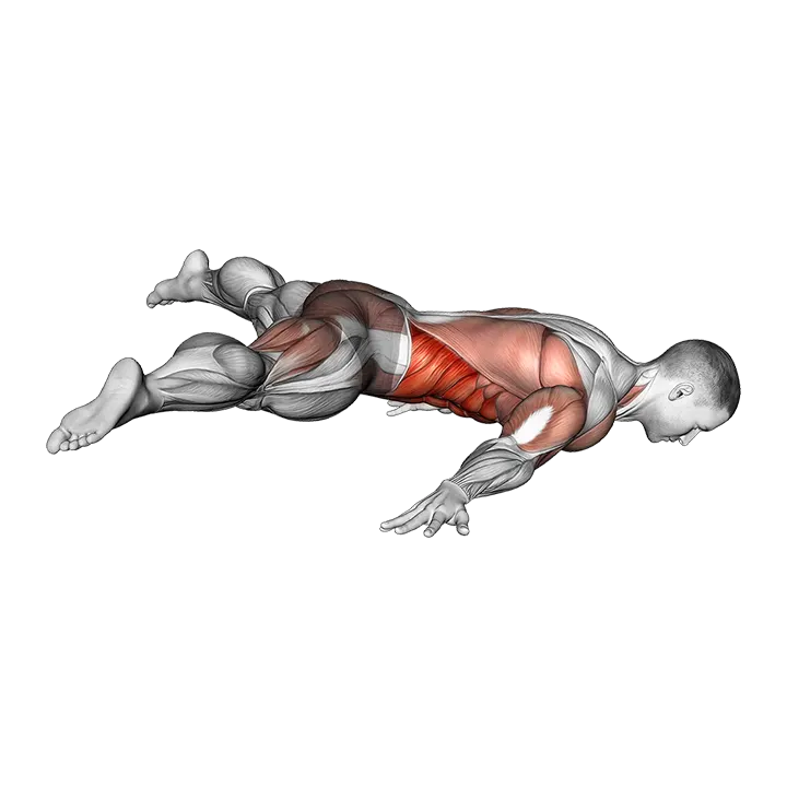 Straddle Maltese exercise animation (Male)