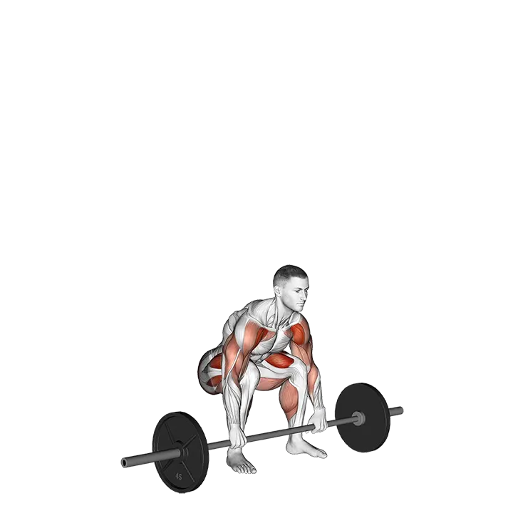 Barbell Weightlifting Complex exercise animation (Male)
