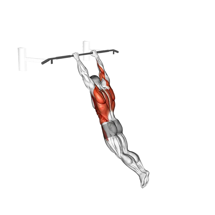 Swing 360 exercise animation (Male)