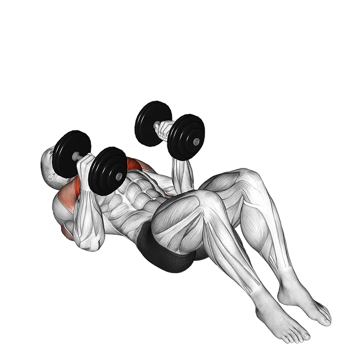 Dumbbell Lying on Floor Hammer Press exercise animation (Male)