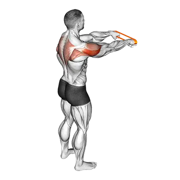 Resistance Band Rear Fly