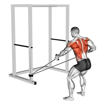 Band Alternate Low Row wtih Twist
