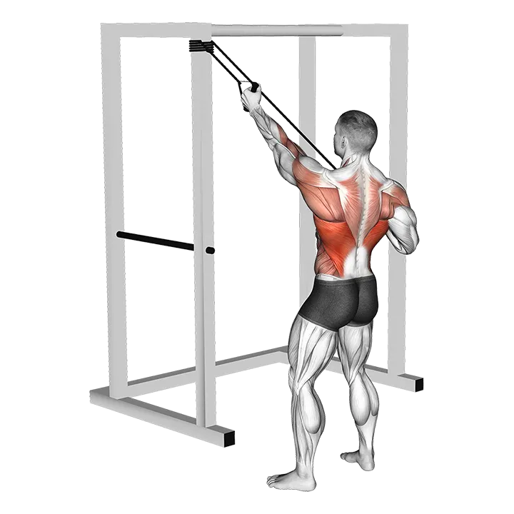 Band Alternate Lat Pulldown with Twist exercise animation (Male)