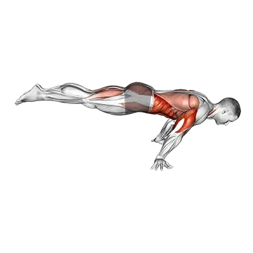Full Planche Push-Up