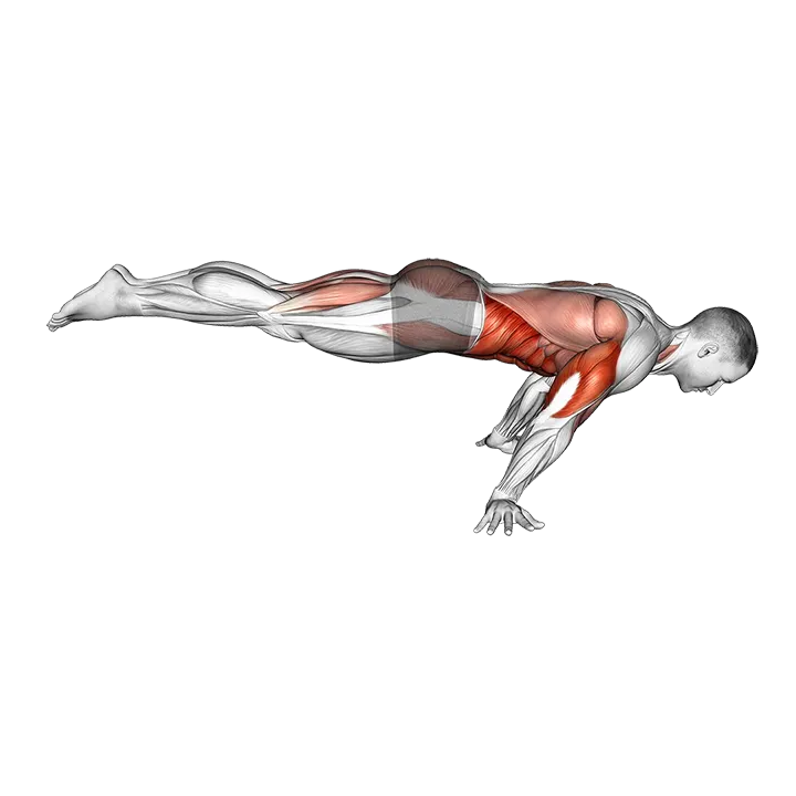 Full Planche Push-Up exercise animation (Male)