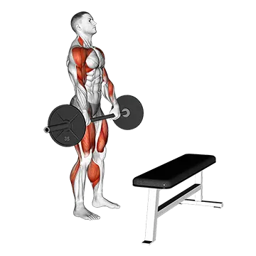 Barbell Complex - Stiff Leg Deadlift - Clean - Step