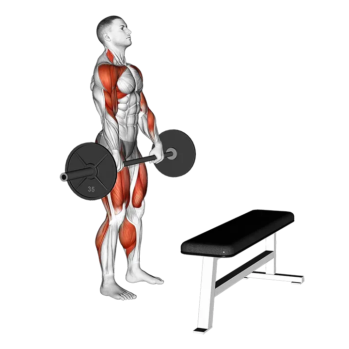 Barbell Complex - Stiff Leg Deadlift - Clean - Step exercise animation (Male)
