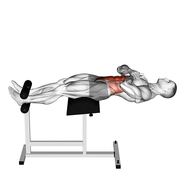 Roman Chair Sit-Up exercise animation (Male)