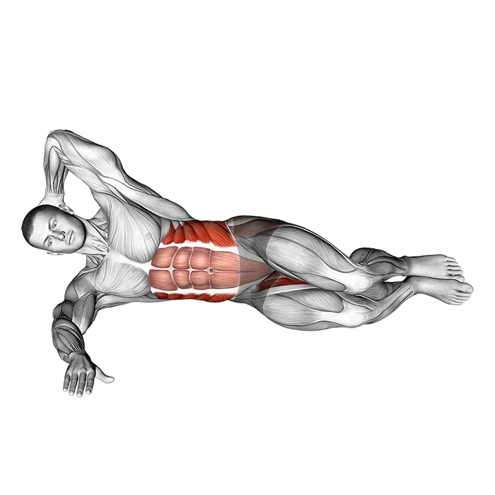 Oblique Crunches with Bent Knee Leg Lift exercise animation (Male)