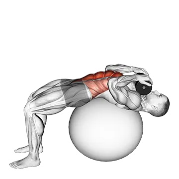 Weighted Stability Ball Crunch (Full range)