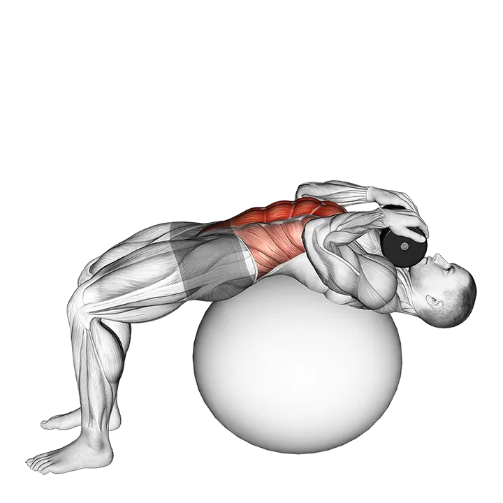 Weighted Stability Ball Crunch (Full range) exercise animation (Male)