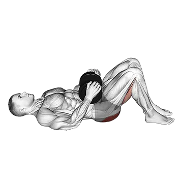 Dumbbell Glute Bridge