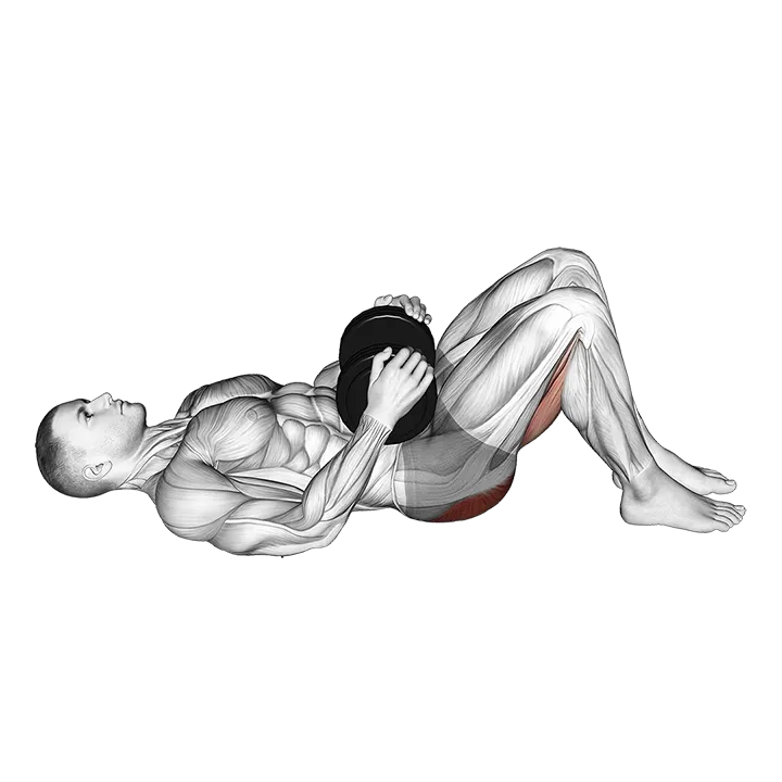 Dumbbell Glute Bridge exercise animation (Male)