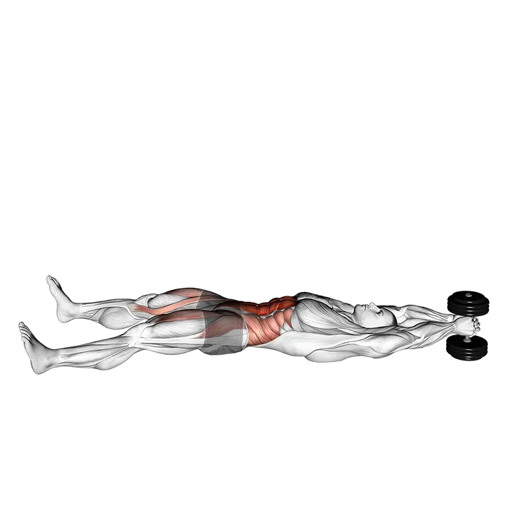 Dumbbell V-up exercise animation (Male)