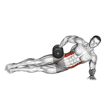 Dumbbell Side Bridge