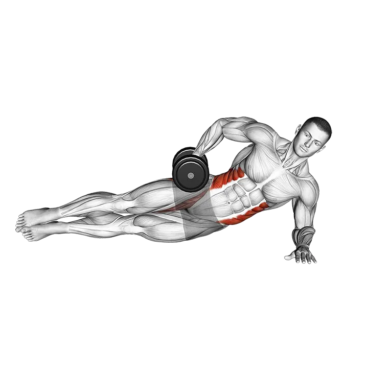 Dumbbell Side Bridge exercise animation (Male)