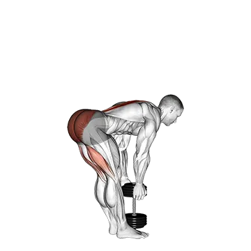 Dumbbell Stiff Leg Deadlift