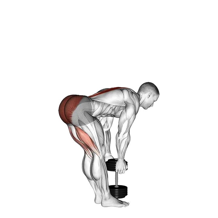 Dumbbell Stiff Leg Deadlift exercise animation (Male)