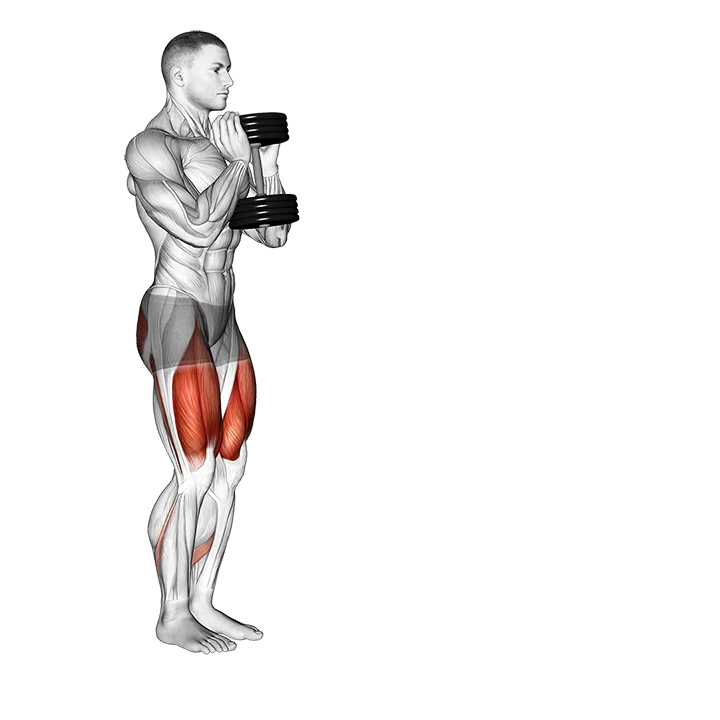 Dumbbell Lunge (VERSION 2) exercise animation (Male)