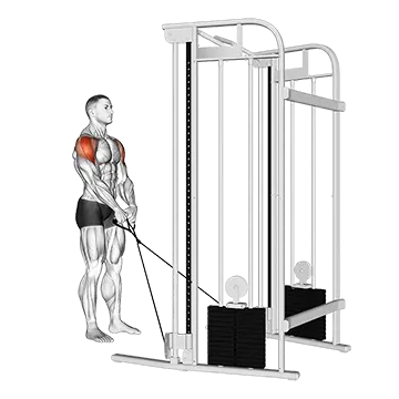 Cable Y-raise