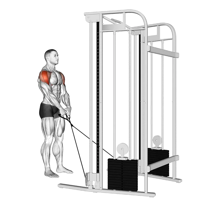 Cable Y-raise exercise animation (Male)