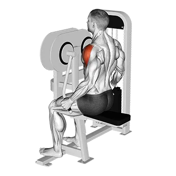 Lever Lateral Raise (VERSION 2)