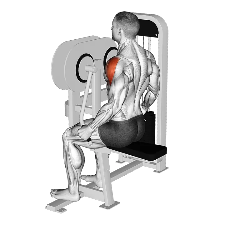 Lever Lateral Raise (VERSION 2) exercise animation (Männlich)