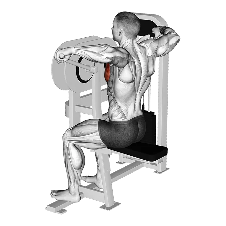 Lever Crossovers exercise animation (Male)