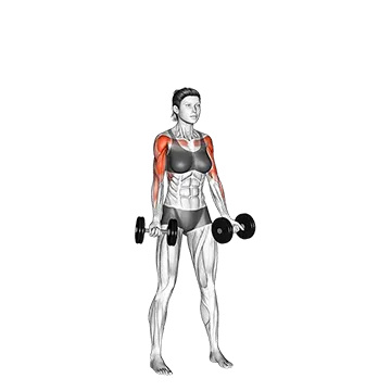 Dumbbell Curl to Press