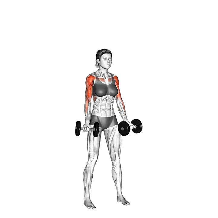 Dumbbell Curl to Press exercise animation (Female)