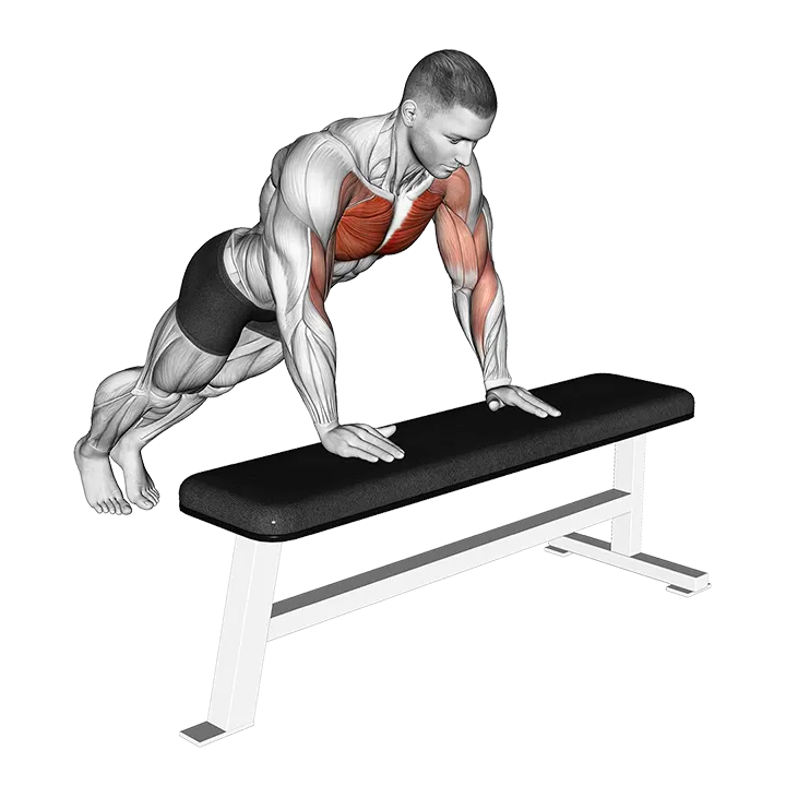 Incline Shoulder Tap exercise animation (Männlich)