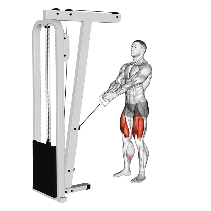 Cable Lunge exercise animation (Male)
