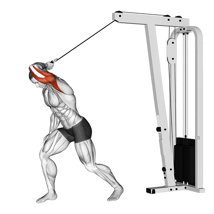 Cable One Arm High Pulley Overhead Tricep Extension exercise animation (Male)