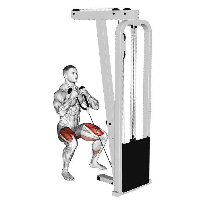 Cable Front Squat (VERSION 2) exercise animation (Male)