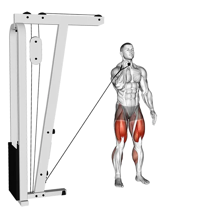 Cable Lateral Lunge (VERSION 2) exercise animation (Male)
