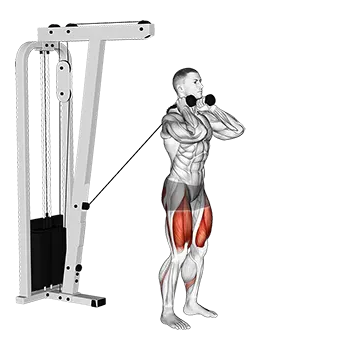 Cable Forward Lunge
