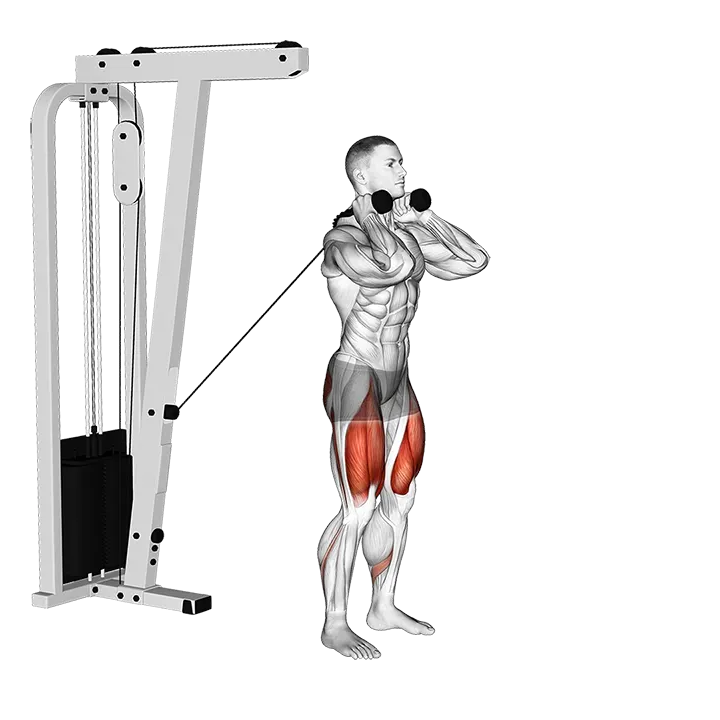 Cable Forward Lunge exercise animation (Male)