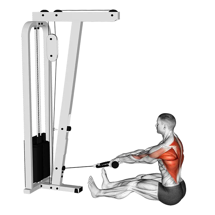 Cable Seated on Floor Row with Rope exercise animation (Male)