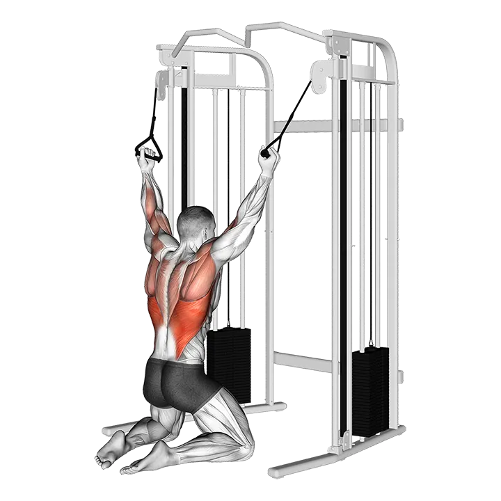 Cable Parallel Grip Lat Pulldown on Floor exercise animation (Male)